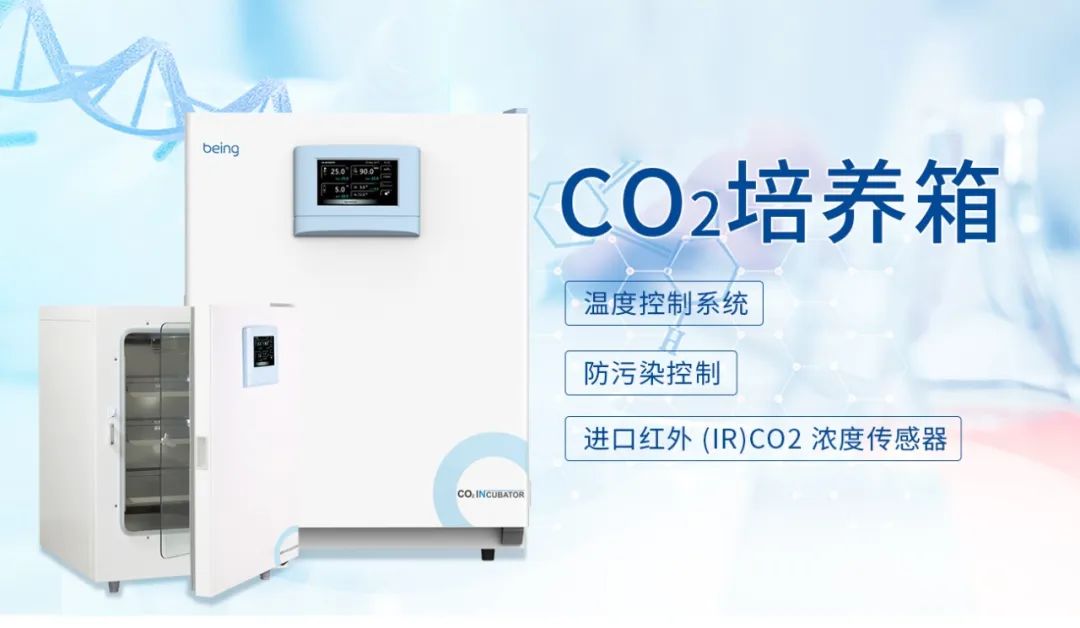 貝茵CO2培養(yǎng)箱