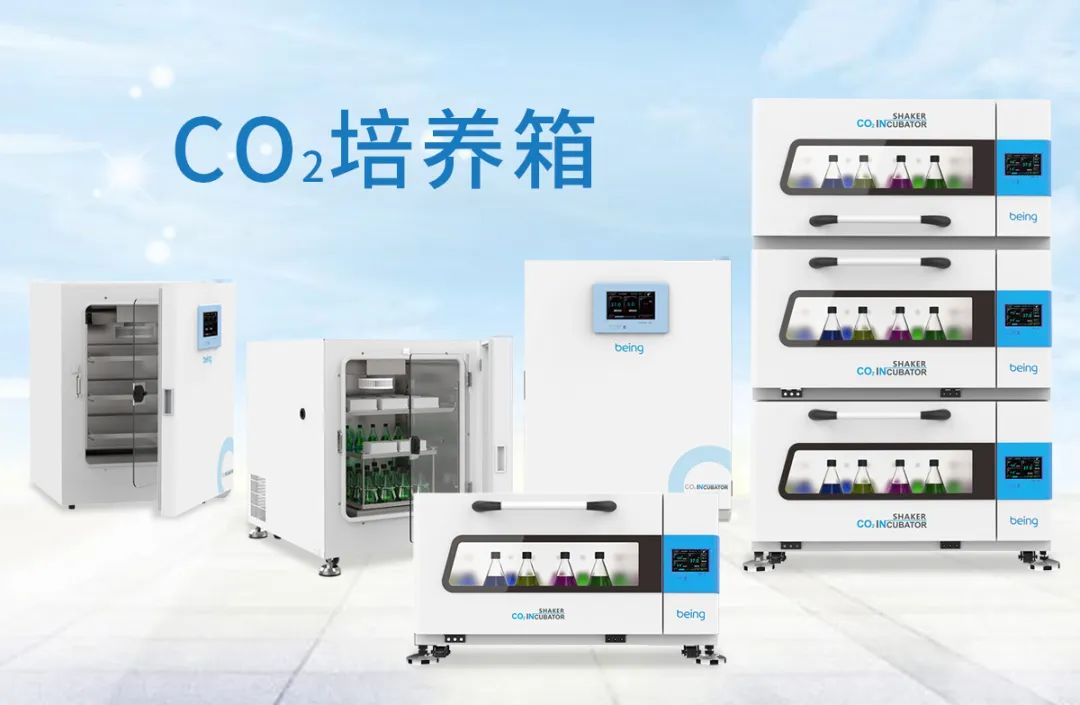 貝茵CO2培養(yǎng)箱