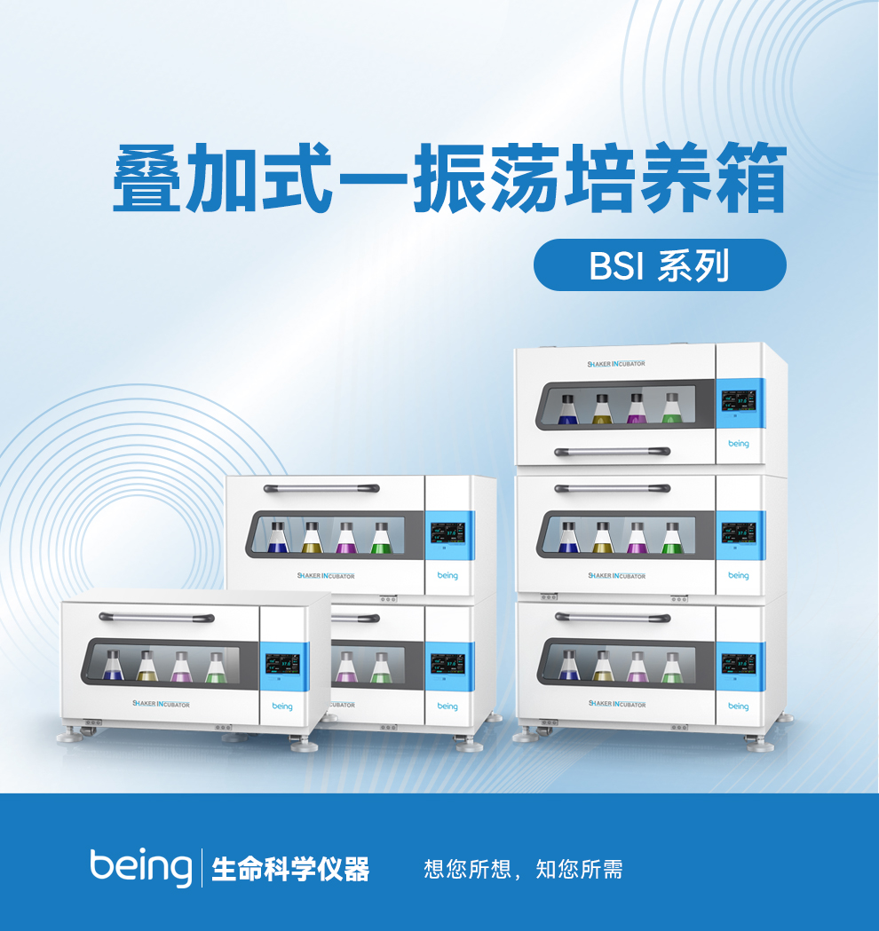 貝茵疊加搖床