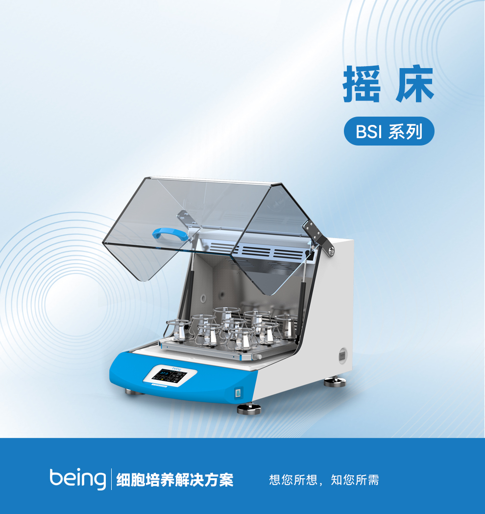 貝茵搖床